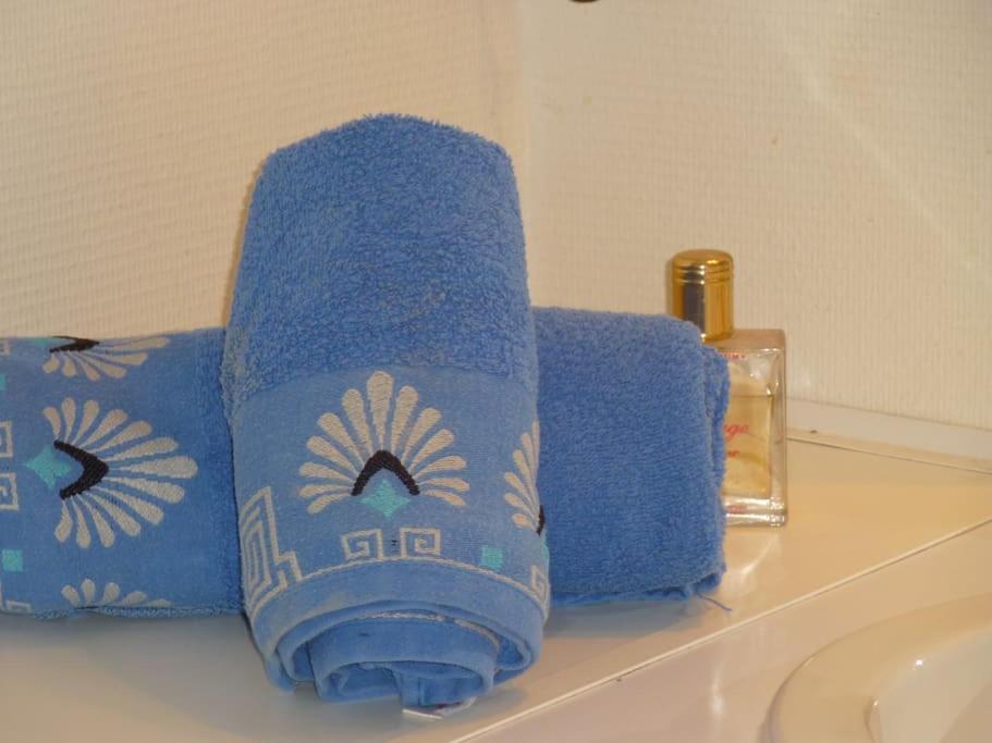 Chambre Chez L'Habitant - Proche Du Centre - Salle D'Eau Et Wc Prives Μπορντό Εξωτερικό φωτογραφία